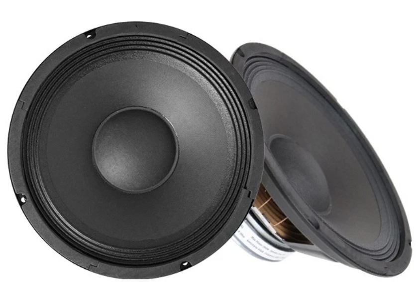 10" Replacement Woofer Speaker 1