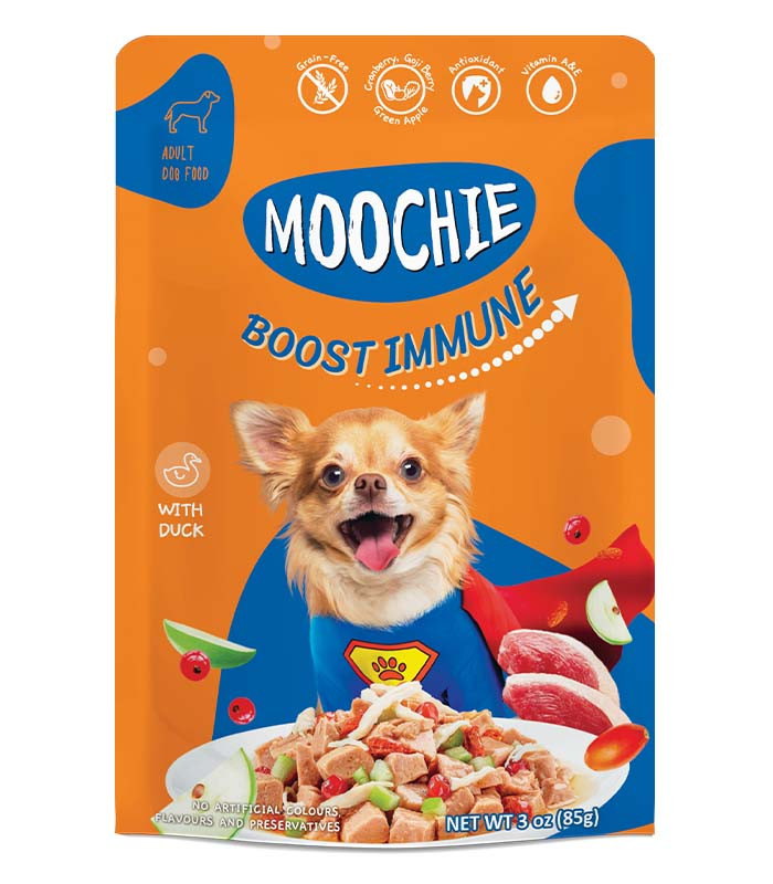 10 Best Dog Food for Picky Eaters in the Philippines 2026 | Buying Guide Reviewed by Veterinarian 2