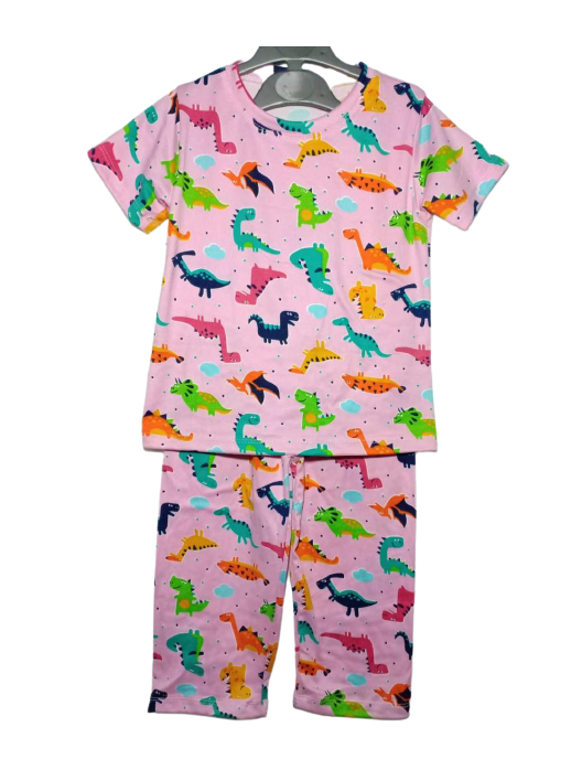 Dinosaur Pajama Set 2