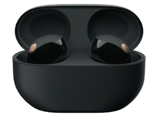 WF-1000XM5 / WF 1000XM5 Wireless Noise Canceling Bluetooth Earphones	 2