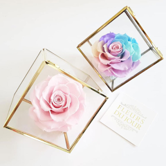 Preserved Rose in Glass Box