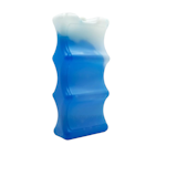 10 Best Ice Packs in the Philippines 2026 | Igloo, Coleman, and More 3