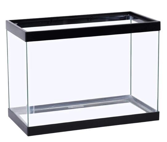 10 Best Small Aquariums in the Philippines 2026 3