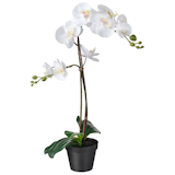 10 Best Artificial Plants in the Philippines 2026 3