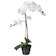 IKEA Fejka (Orchid) 1