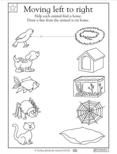 Kindergarten Science Worksheets 3
