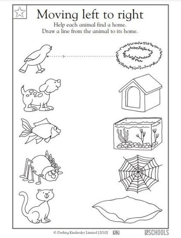 Kindergarten Science Worksheets 3