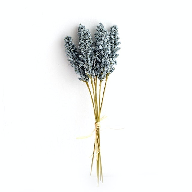 Artificial Vanilla Spike 3