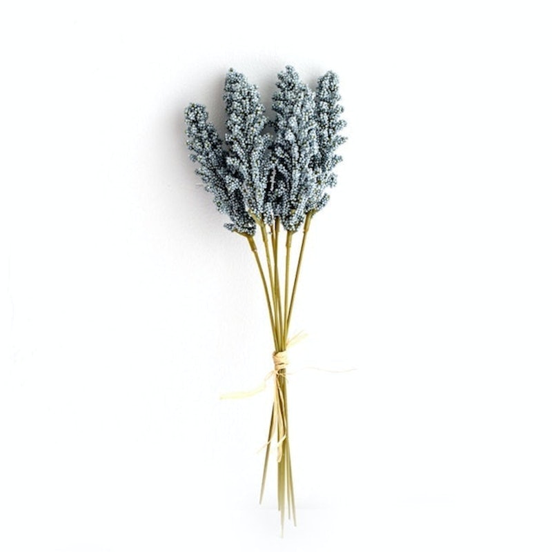 Artificial Vanilla Spike 3