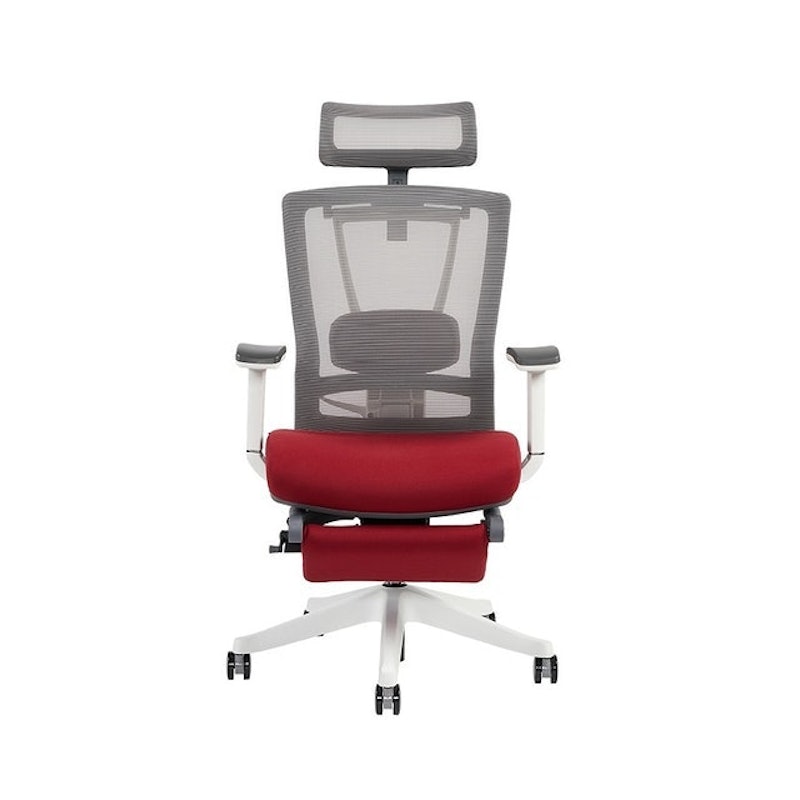 ErgoChair Alpha 5