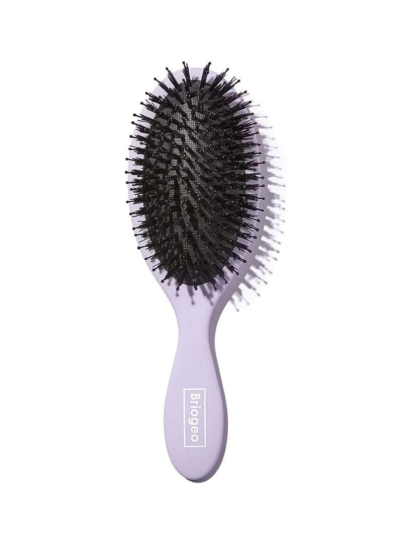 10 Best Paddle Brushes in the Philippines 2026 | Buying Guide Reviewed by Dermatologist 1