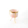 Pots for Plants Marble Finish Porcelain Pots with Iron Stand 1