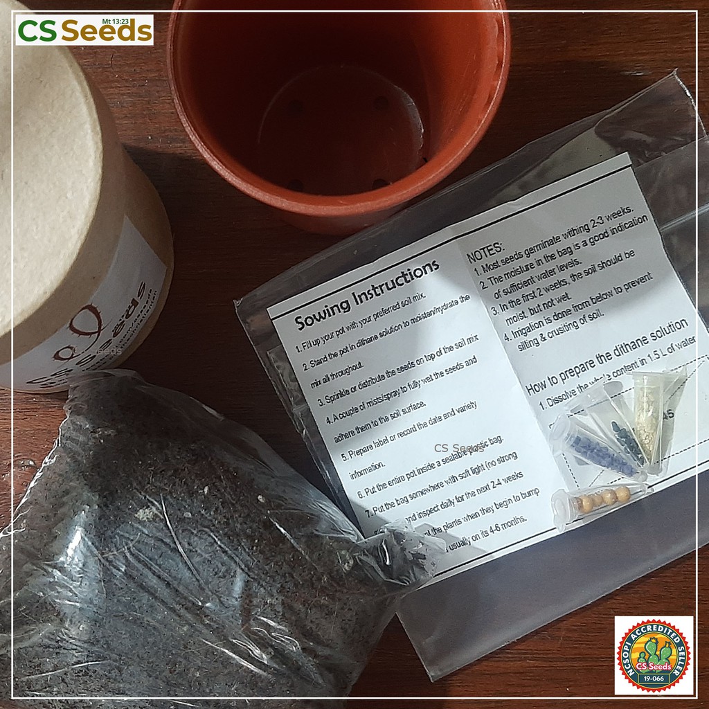 Cactus Grow Kit 1