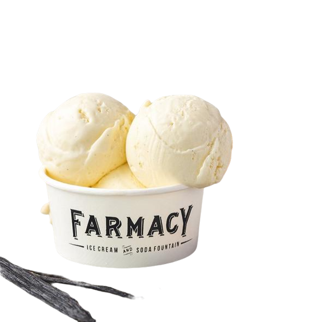 Vanilla Bean Ice Cream 2