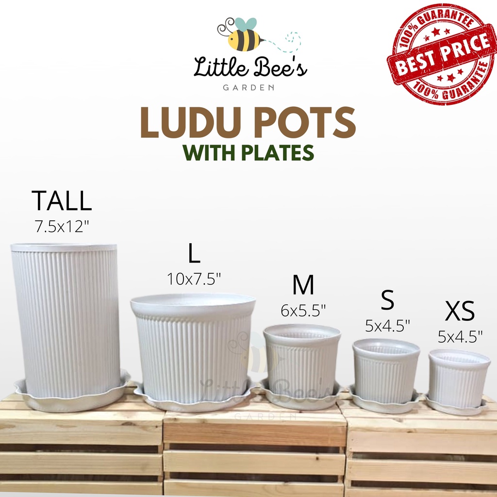 Ludu Corinthian Pots With Plate 2