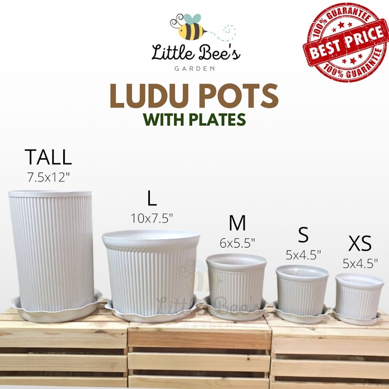 Ludu Corinthian Pots With Plate 2