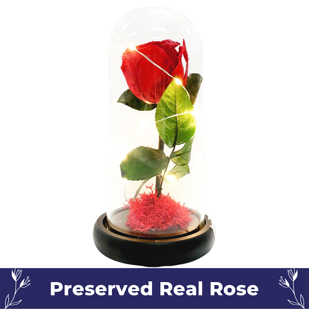 Beauty & The Beast Rose 1