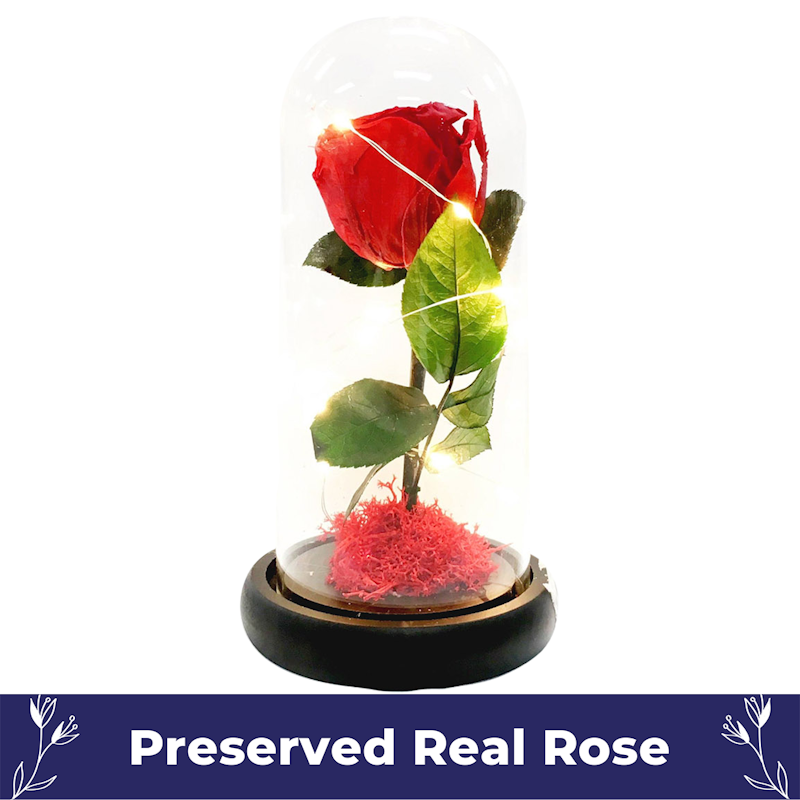 Beauty & The Beast Rose 1