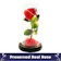 FlowerStore.PH Beauty & The Beast Rose 1