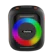 Orashare 40W Karaoke Bluetooth Speaker 1