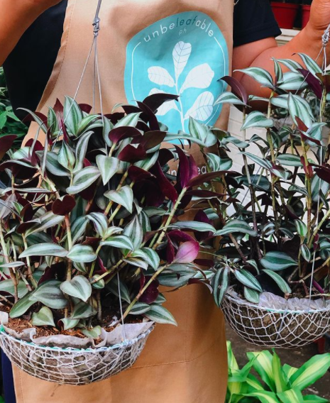 Wandering Jew 2