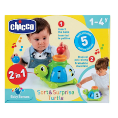 Turtle Sort & Surprise