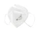 Indoplas Disposable Face Mask 1