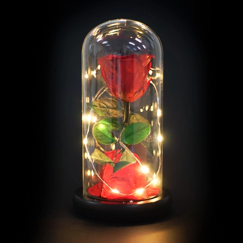 Beauty & The Beast Rose 2