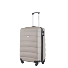 Carry Luggage