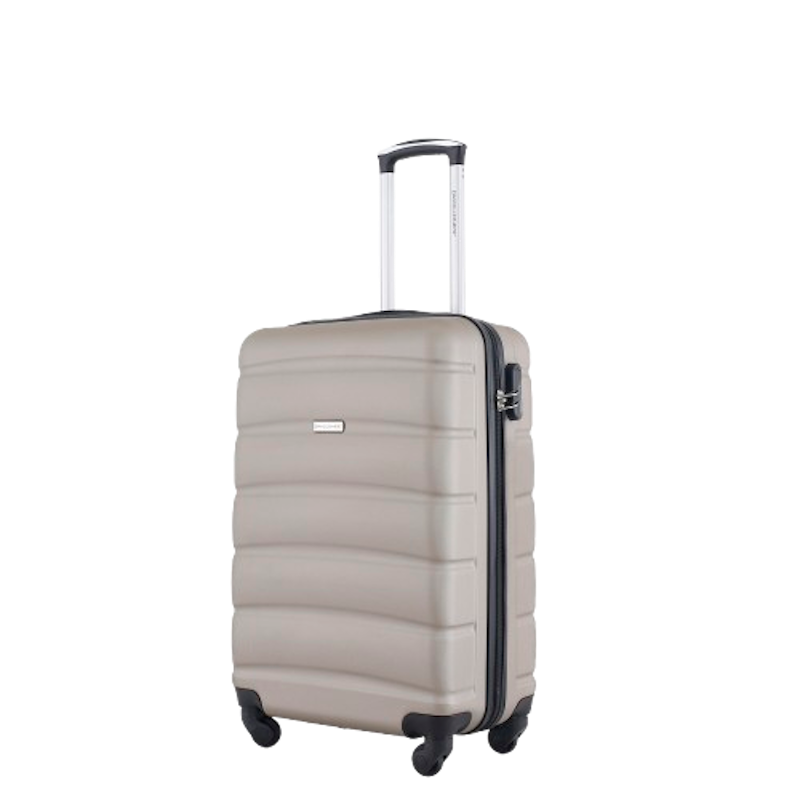 Carry Luggage 1