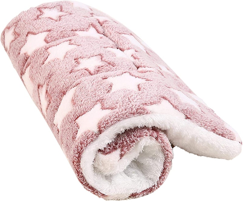 Blanket Pet Bed 1
