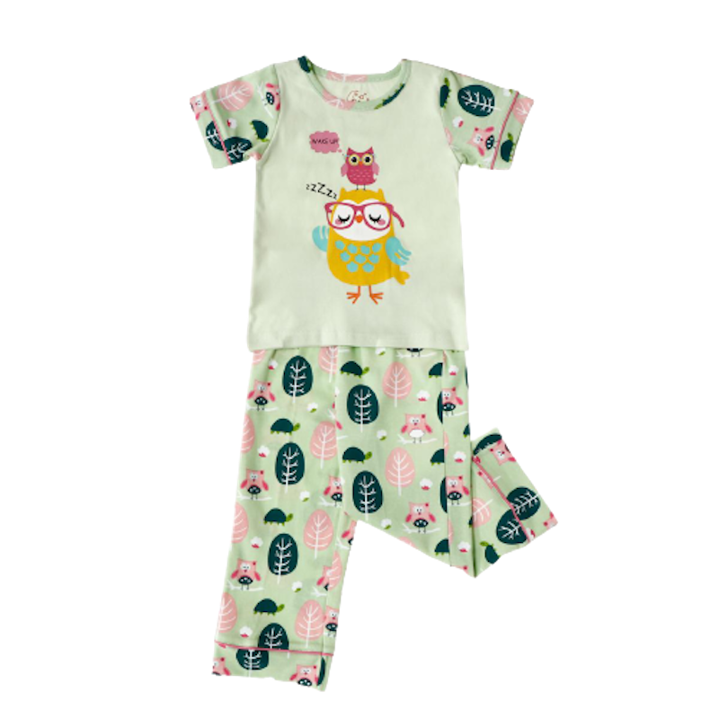 Toddler Girls’ Owl Pajama Set 1
