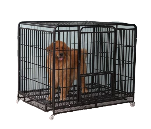 10 Best Dog Cages in the Philippines 2026 | Buying Guide Reviewed by Veterinarian 5