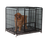 10 Best Dog Cages in the Philippines 2026 | Buying Guide Reviewed by Veterinarian 5