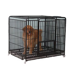 Metal Cage for Big Dogs