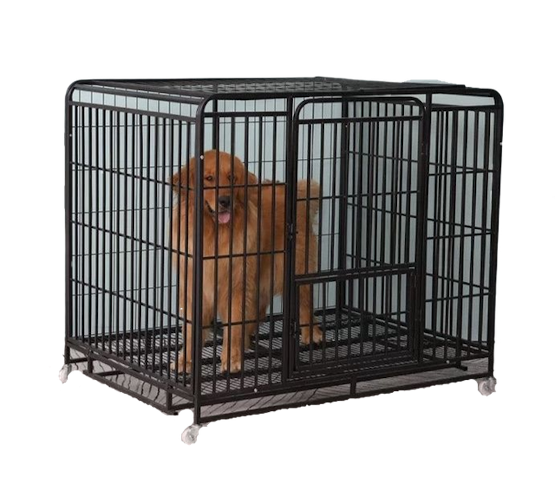 Metal Cage for Big Dogs 1