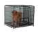 Wikidog Metal Cage for Big Dogs 1