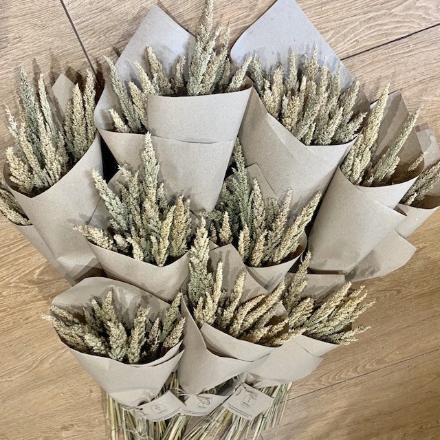 Dried Flower Trigo/Wheat  2