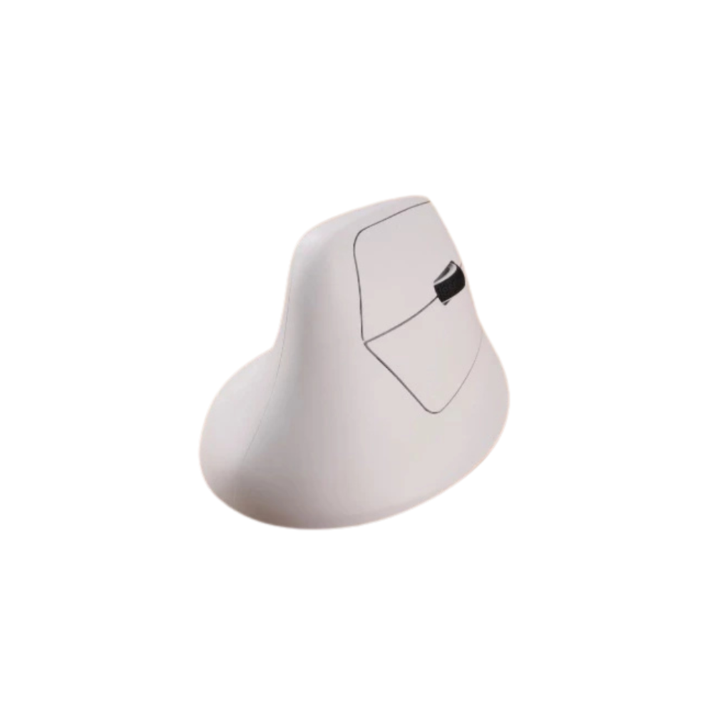 M5 Wireless Ergononic Optical Mouse 1