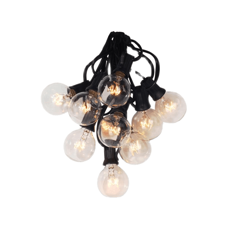 String Lights With Globe Clear Bulbs 1