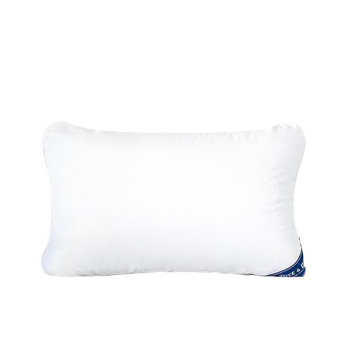 10 Best Pillows in the Philippines 2026 | Buying Guide Reviewed by Physical Therapist 5