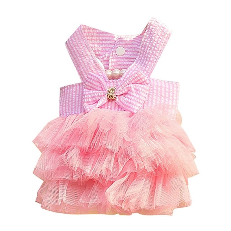 Summer Dog Lace Tulle Dress 2