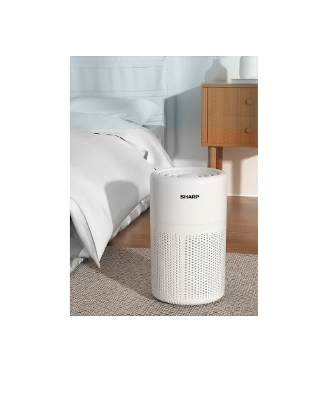Portable Mini Car Air Purifier 2