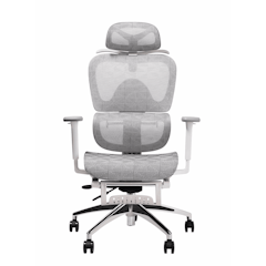 Ergonomic Chair