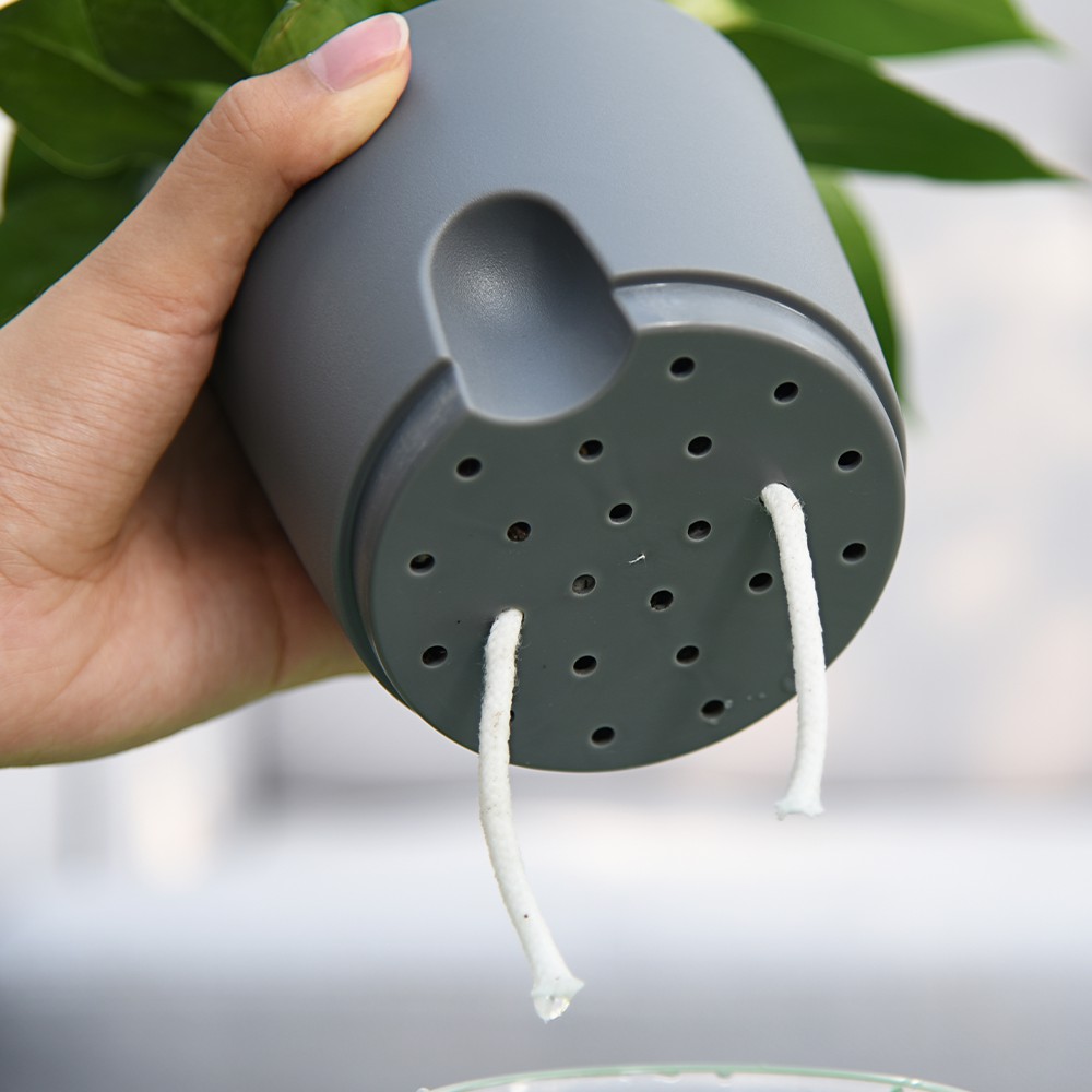 Self Watering Pot 3