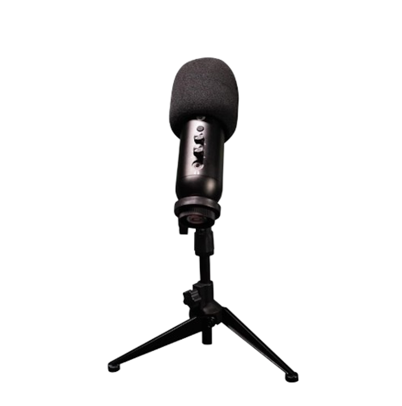 MCX01 Leviosa Professional Condenser Microphone 1