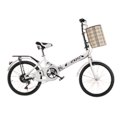 Folding Bike
