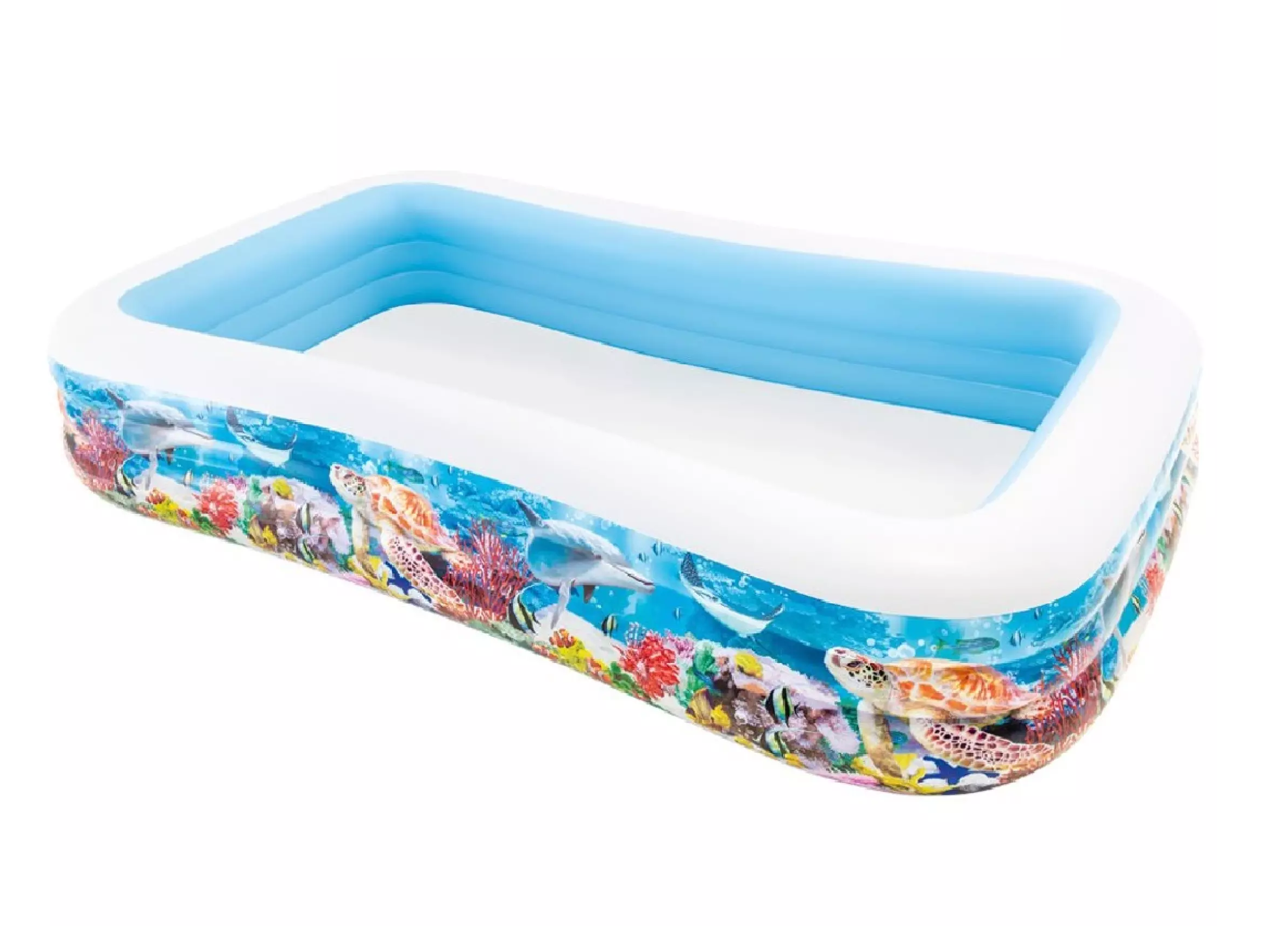 Swim Center Family Pool 1