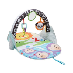 2-in-1 Flip & Fun Activity Gym
