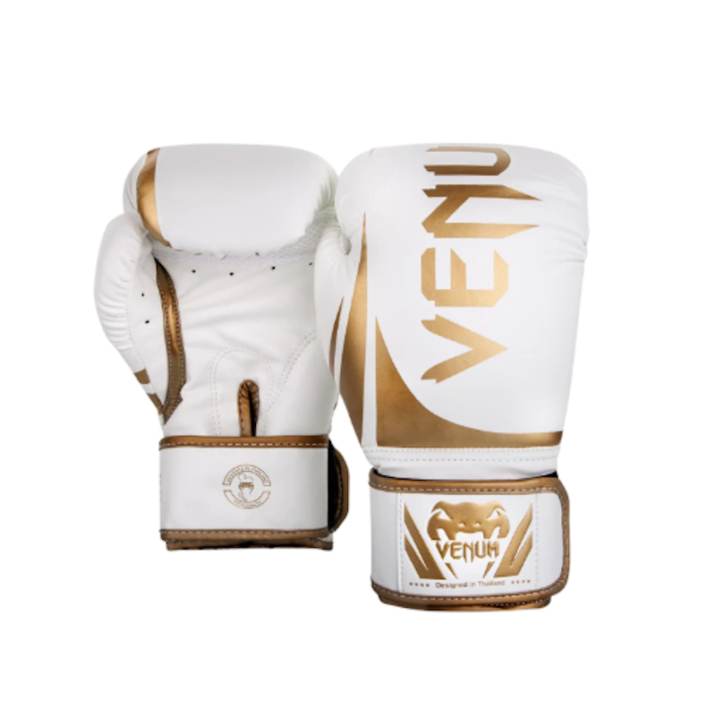Challenger 2.0 Boxing Gloves 1